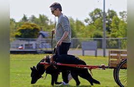 Still Standing: New Glasgow