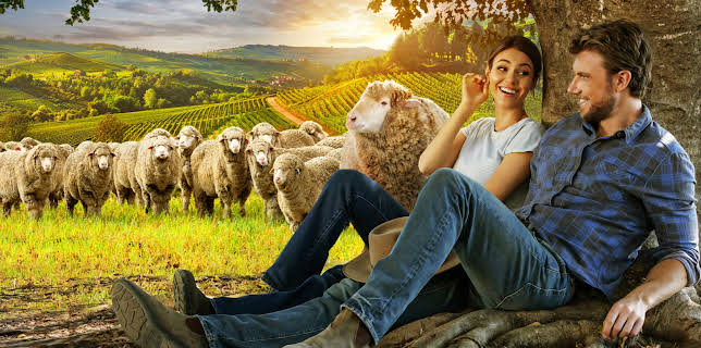 A Perfect Pairing (2022)