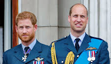 Harry vs. William - Der royale Bruderzwist