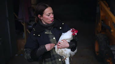 5:00 AM: Fletchers' Family Farm (S5 E4) (S5) | ITV2 | 11/1 2026