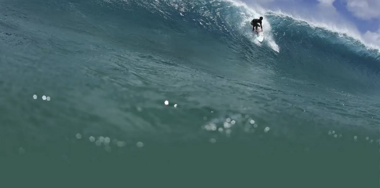 Locals of Noronha (2016)