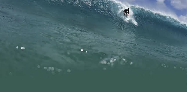 Locals of Noronha (2016)