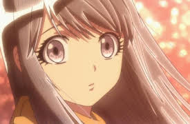 Karakuri Circus: The truth behind the shadow