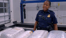 Border Force America's Gatekeepers (S2 E3)