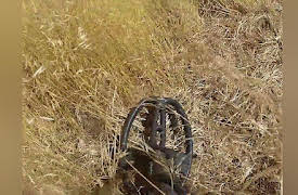 Diggers Season 1: The King and the Ring
