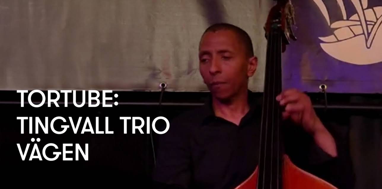 TorTube: Tingvall Trio - Vдgen (2016)