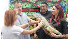 Akvariedesignerne (S8 E13)