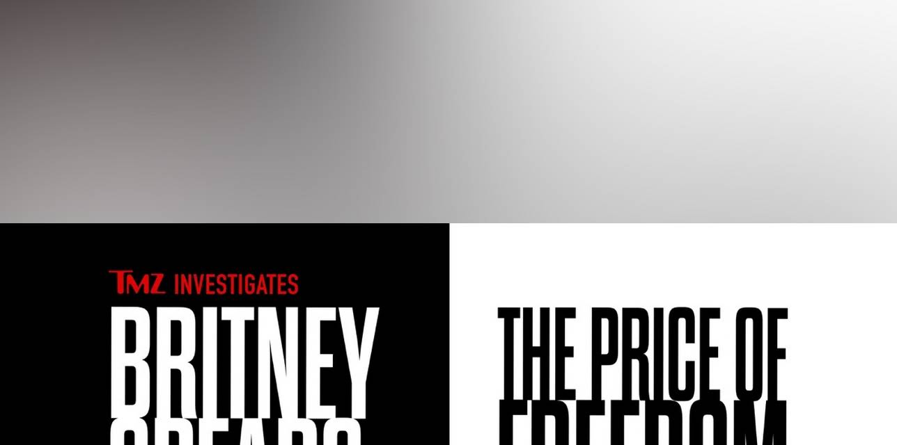 TMZ Investigates: Britney Spears: The Price of Freedom