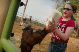 Ranch America: Season 1: Hancock Ranch