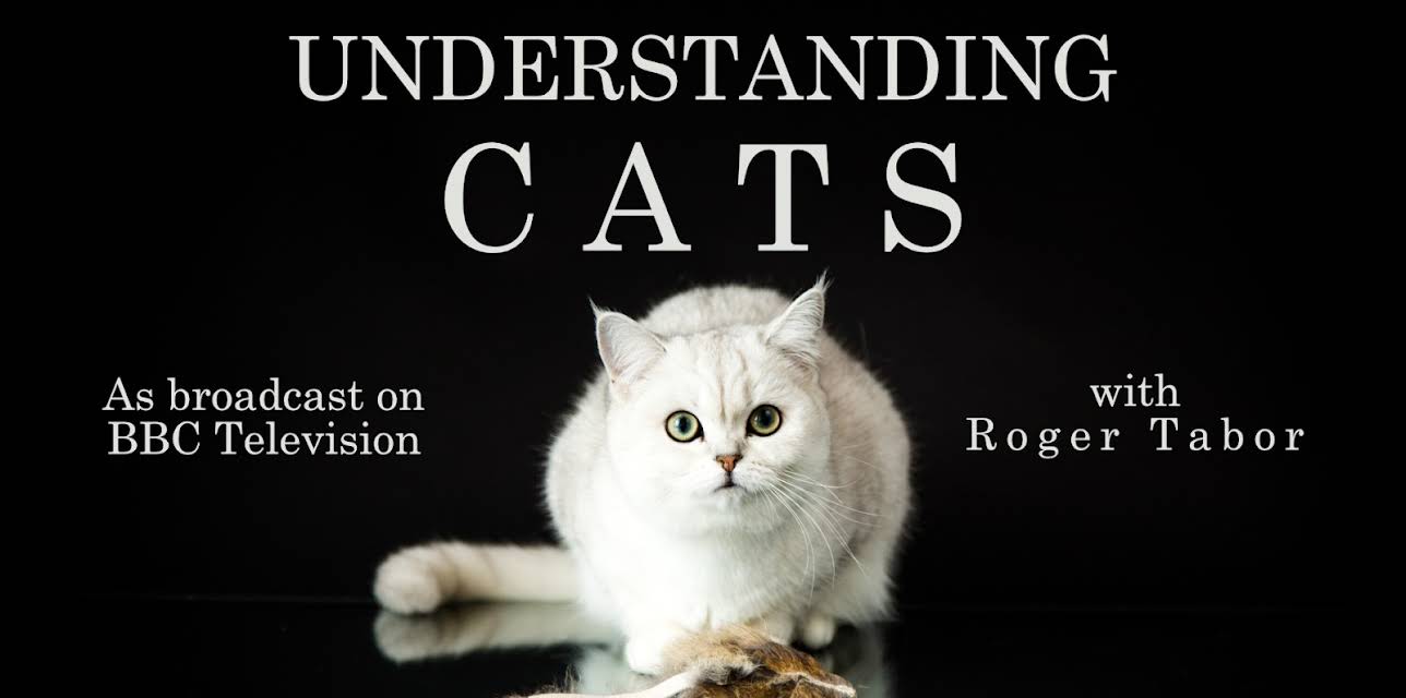 Understanding Cats