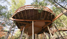 Treehouse Masters (S3 E3)