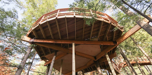 19:00: Hus i tretoppene (S3 E3) (S3) | Animal Planet | 12/12 2025