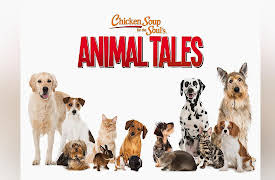 Chicken Soup for the Soul's Animal Tales: Animal in Need, a Friend Indeed