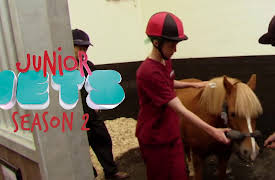 Junior Vets: An Important Job