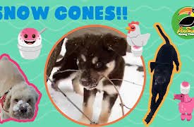 Animals Doing Things: Animals Doing Things | Snow-Cones!!