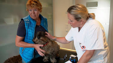 10:25: Die Tierärzte - Retter mit Herz (55) | WDR Fernsehen | 3/27 2026