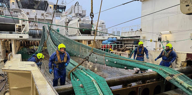 18:15: Die Nordreportage: Hochseefischen am Nordpolarmeer | NDR Fernsehen | 11/6 2025