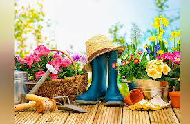 The Science of Gardening: Applied Garden Science: Success Stories