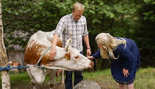 Olav på Kvipt: Kjærleik på Kvipt