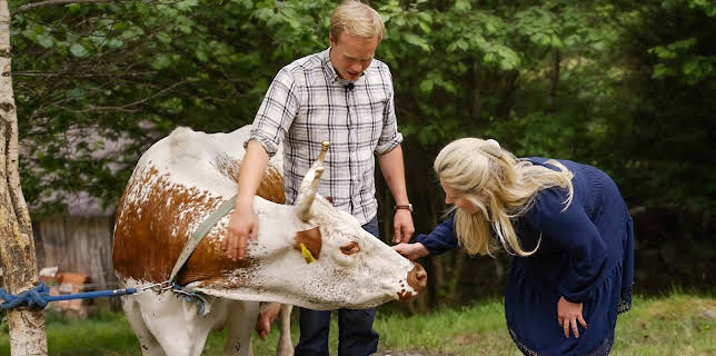 19:30: Olav på Kvipt: Kjærleik på Kvipt | NRK 3 | 12/28 2025