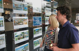 House Hunt: To Find a Home