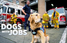 Dogs with Jobs: Bruno: Police Dog & Honey: Companion Dog
