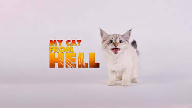 16:00: My Cat From Hell (S4 E13) (S4) | Animal Planet | 3/27 2026