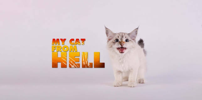 16:00: My Cat From Hell (S4 E1) (S4) | Animal Planet | 3/15 2026