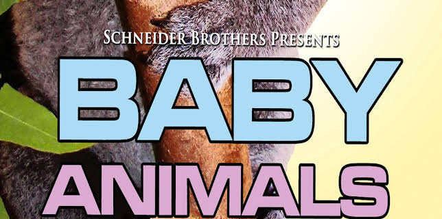 Baby Animals