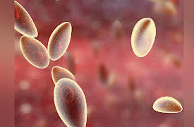 Zoology: Understanding the Animal World: Combating Disease in the Animal Kingdom