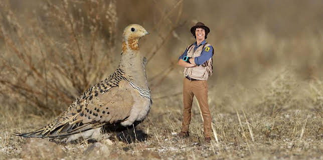 2:20 PM: Andy's Safari Adventures (S1) | Cbeebies | 11/11 2025