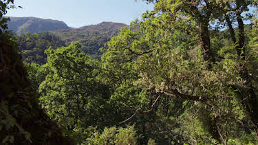 20:20: Nationalparks in Portugal | RBB Fernsehen | 9/6 2026