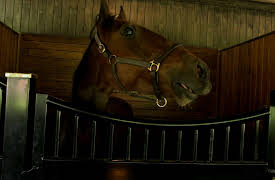 Dog Tales Rescue: A Perfect Match