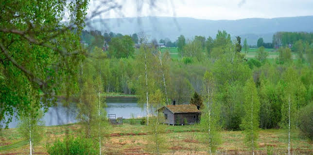 13:10: Stadt Land Kunst | Arte | 2/23 2026