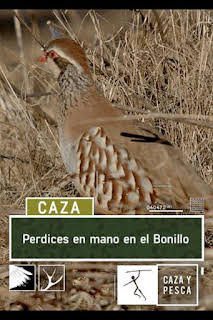 01:00: Perdices en mano en el Bonillo | Caza y Pesca | 3/29 2026