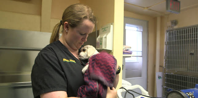 13:05: Dr. Dee: Alaska Vet (S1 E6) (S1) | Animal Planet | 12/12 2025