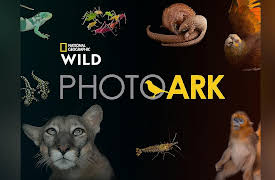 Photo Ark: Go Big or Go Home