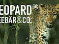 Leopard, Seebär & Co. (179)