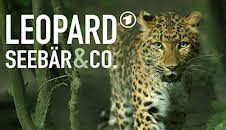Leopard, Seebär & Co. (176)
