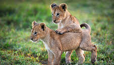 Eine Erde - viele Welten