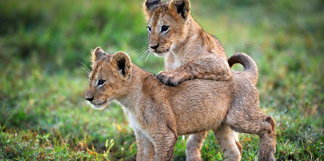 06:15: Eine Erde - viele Welten | ZDFneo | 3/1 2026