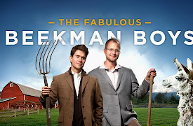 The Fabulous Beekman Boys Season 1: Suds & Studs