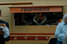 Miskina, Poor Thing: Idir the Cat