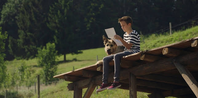 08:50: Racko - Ein Hund für alle Fälle (2) | Das Erste | 1/4 2026