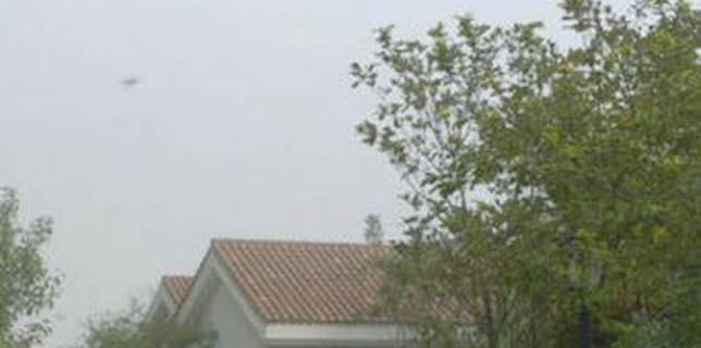 04:10: La substància | Canal 33 | 3/20 2026