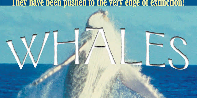 Whales (1995)