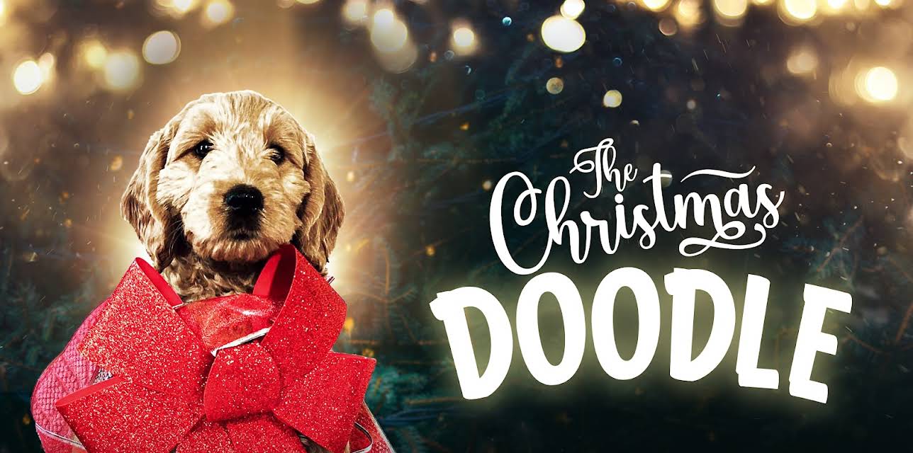 The Christmas Doodle (2021)