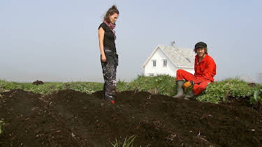 11:00: Ida og Martin på Notholmen: Trøbbel i åkeren | NRK 2 | 4/11 2026