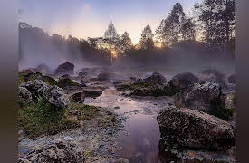 The Wonders of America's State Parks: Adventures in the Ozarks and Ouachitas