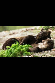 09:45: Nuestro planeta (One Strange Rock): Supervivencia | National Geographic | 4/3 2026